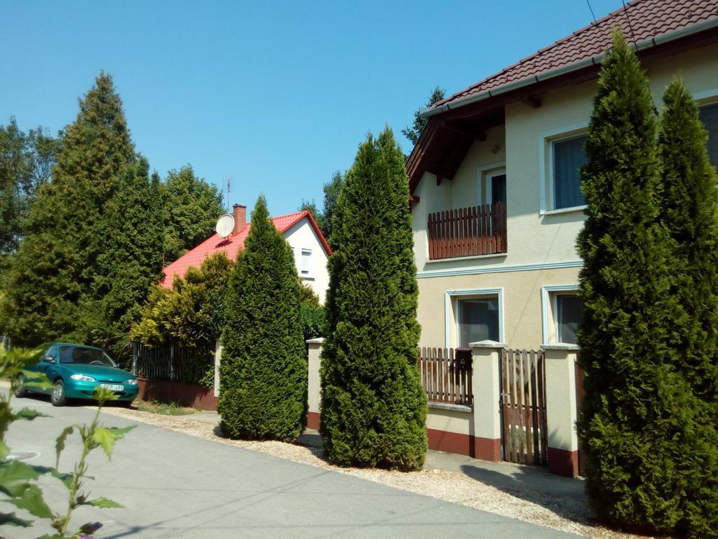 Eva Vendeghaz Guesthouse Гайдусобосло Екстер'єр фото